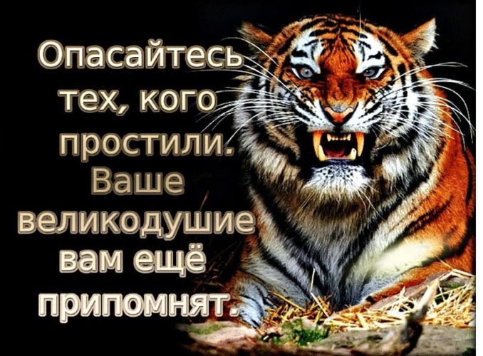 Сделал добро отойди на безопасное расстояние чтобы ударной волной благодарности не зацепило картинки