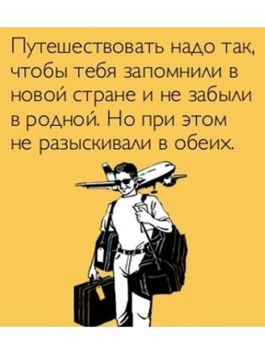 Я турагент картинки смешные