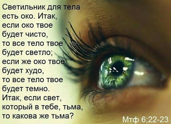 Глаза зеленые фото без лица