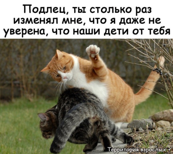 https://p4.tabor.ru/feed/2019-06-11/15395131/1664149_760x500.jpg