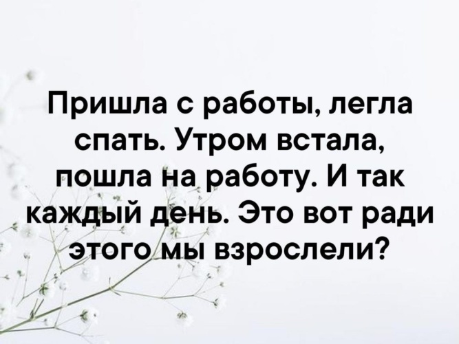 Приползу с работы чисто приберу приготовлю что то лягу и умру картинки