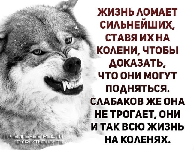 Жизнь ставит на колени. Жизнь ломает. . Жизнь ломает цитаты. Жизнь ломает сильных. Цитаты жизнь ломает сильных.