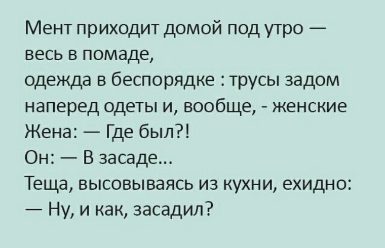 Приду домой. Анекдот про засаду. Пикантные анекдоты смешные. Смешные анекдоты с неожиданным концом. Анекдот про засаду и тещу.