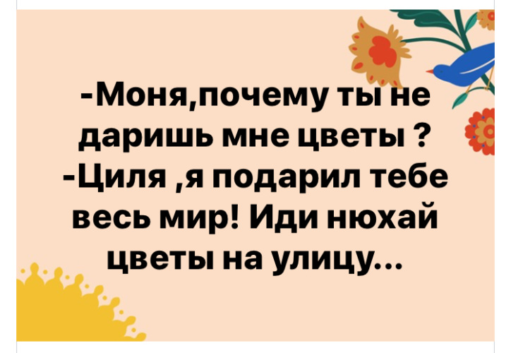 Циля полное имя. Я дарю тебе весь мир иди нюхай цветы. Моня почему ты не даришь мне цветы Циля. Циля Моня. Анекдот про Цилю.