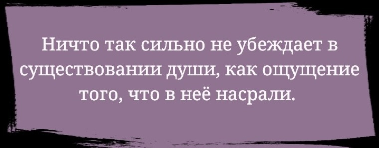 Не держи зла держи питбуля и дробовик и помни никакой агрессии картинка