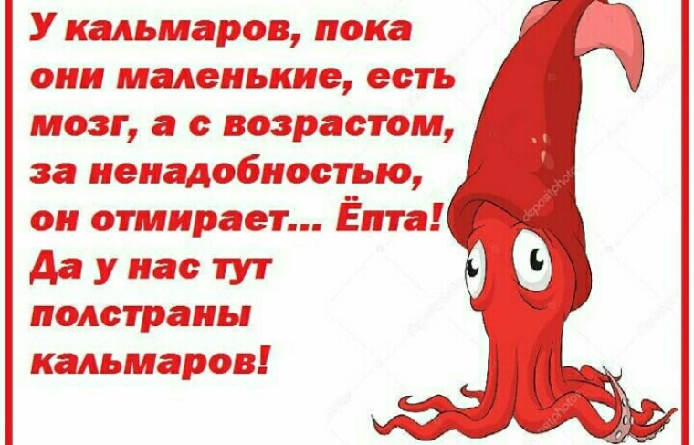 Едят ли мозг. У кальмаров отмирает мозг. Мозг осьминога отмирает. Отмирание мозга у кальмара.