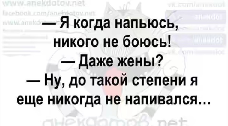 Правда жизни цитаты. Футболка женат!. Парные футболки с надписями. Она даже не моя жена. Она даже не моя жена.