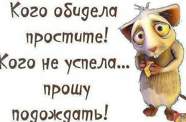 кого не успела обидеть прошу. простите если кого обидела. простите меня кого обидела. кого обидела простите кого не успела подождите картинки. прошу прощения кого обидел.