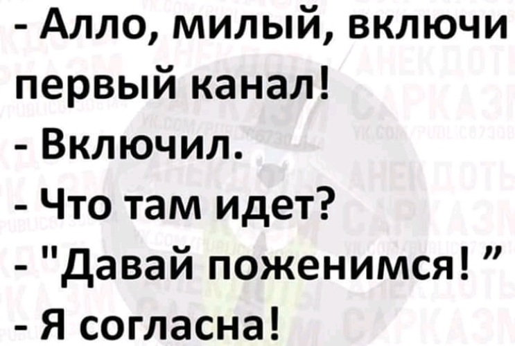 Милые котики. Обои на рабочий стол милые. Милые котики. Включи это мило. Доброе утро леночка.