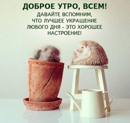 Доброе утро пора на работу картинки прикольные и смешные
