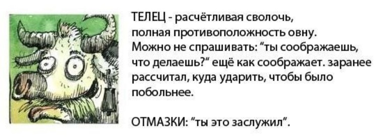 Сволочь это. Телец расчетливая сволочь. Приколы про тельца. Телец знак зодиака прикол. Смешной гороскоп про тельца.