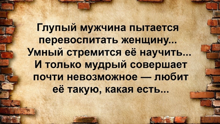 Тем пытается. Глупая женщина пытается перевоспитать мужчину умная. Глупый мужчина. Глупый мужчина пытается перевоспитать. Глупый мужчина пытается перевоспитать женщину.