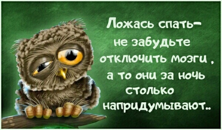 Сдам в аренду мысли на одну ночь хочу выспаться картинки