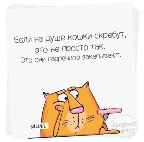 Кошки на душе скребут