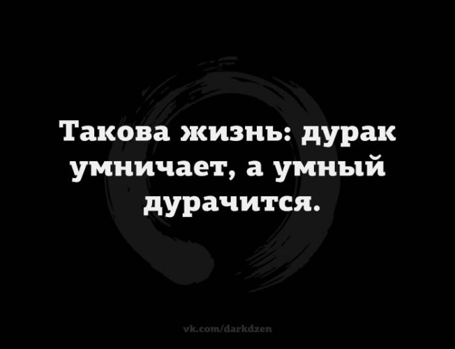 День глупых вопросов. Умный не заметит глупый. Высказывания о дураках. Умный не заметит глупый. Мудрые высказывания про дураков.