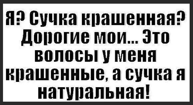 Сучка покорит всех Сучка покорит всех