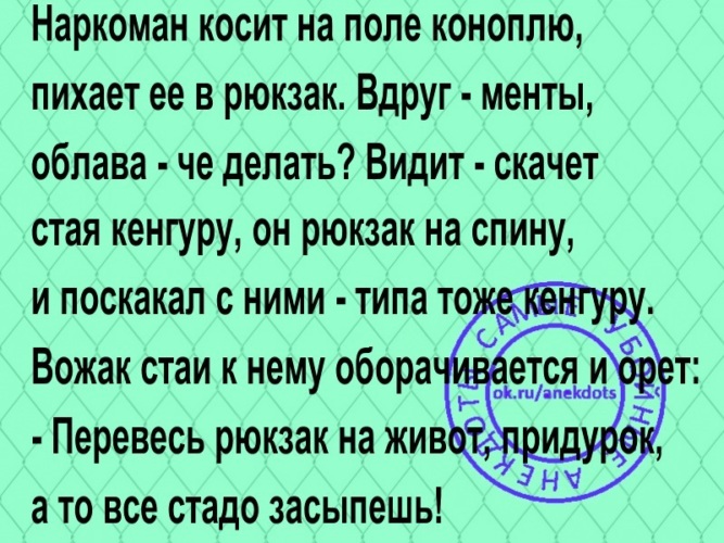 Типа тоже. Анекдот про кенгуру и конопляное поле.