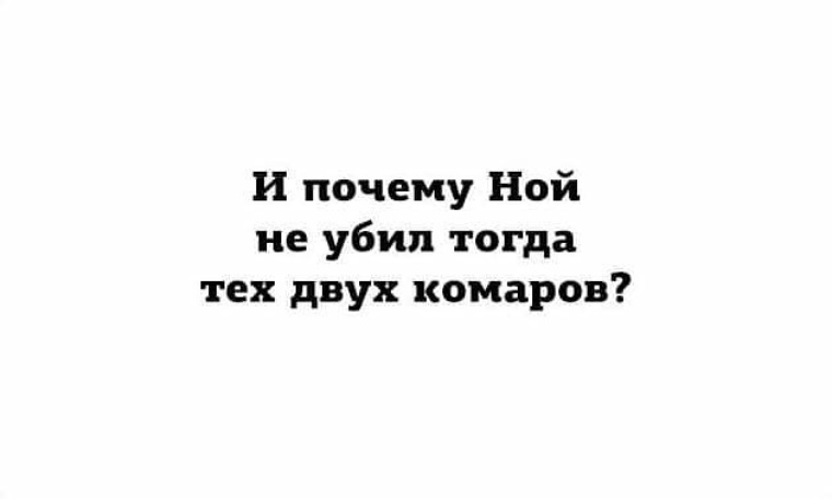 Какие планы на вечер картинки прикольные с надписями