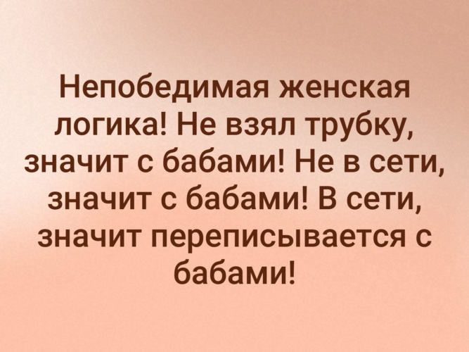 Что значит забрало. Непобедимая женская логика. Если не в сети значит с бабами. Непобедимая женская логика не взял трубку значит. Женская логика с бабами.