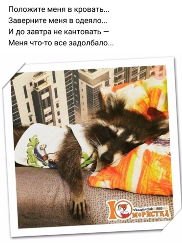 Лента по интересам - Статусы и цитаты - 1771695 - Tabor.ru