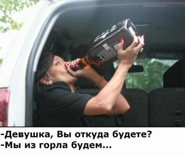 Комикс про кота-главный мем года получил неожиданное завершение Канобу