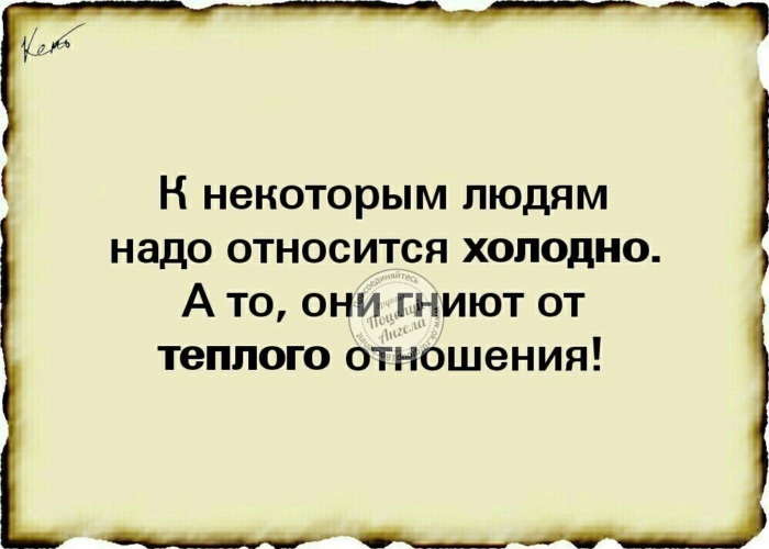 Холодно относится. Люди гниют от хорошего отношения. К некоторым людям надо относиться. К некоторым людям надо относиться холодно. К некоторым людям надо относиться холодно они гниют.