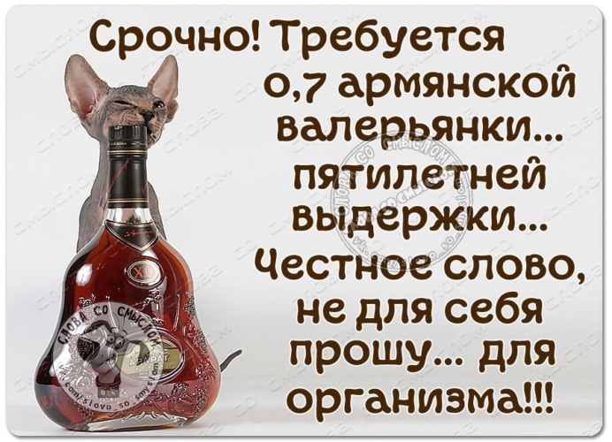 Решил жену порадовать спек торт ежик сидит валерьянку пьет неблагодарная