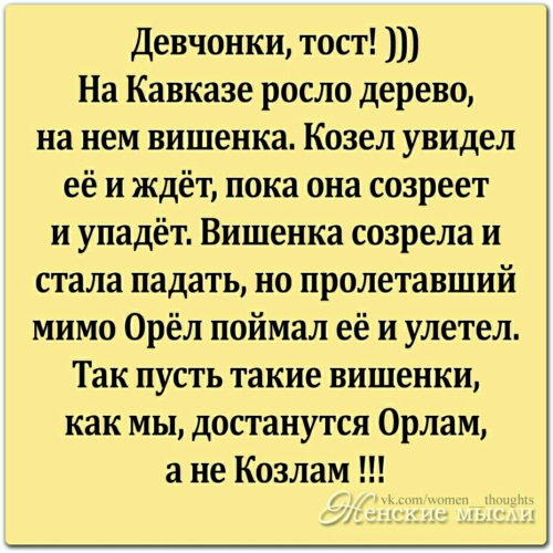 Грузинский Тост Про