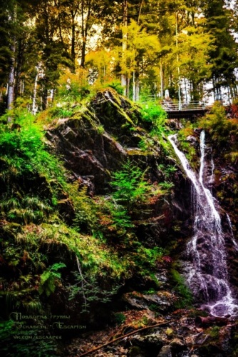 Меня влечет лес. Я нахожу в нем то же очарование, что и в горах ...