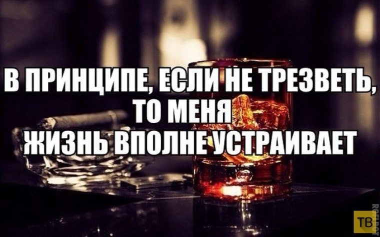 А так все устраивает. А так все устраивает. Приколы про зарплату в картинках с надписями поржать. А так все устраивает. Шутки про умников.