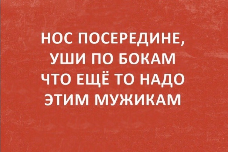 Нос посередине уши по бокам что еще то надо этим мужикам картинка