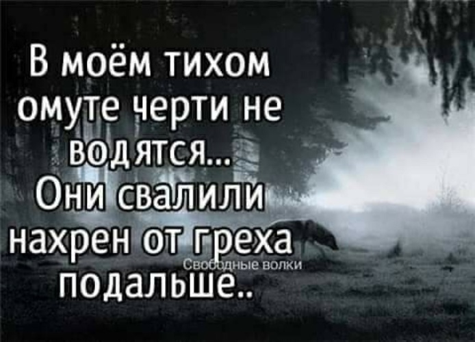 В тихом омуте черти водятся рисунок к пословице