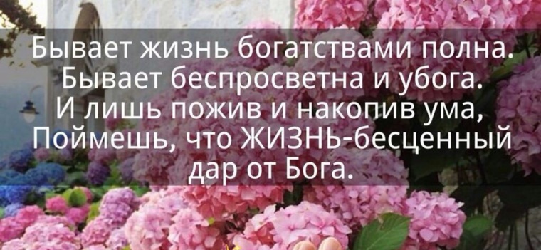 Бывает жизнь богатствами полна бывает беспросветна и убога картинки