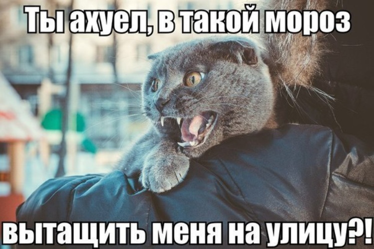 Мемы про маты