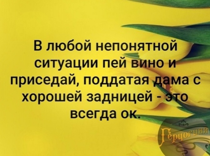 В любой непонятной ситуации приседай картинки