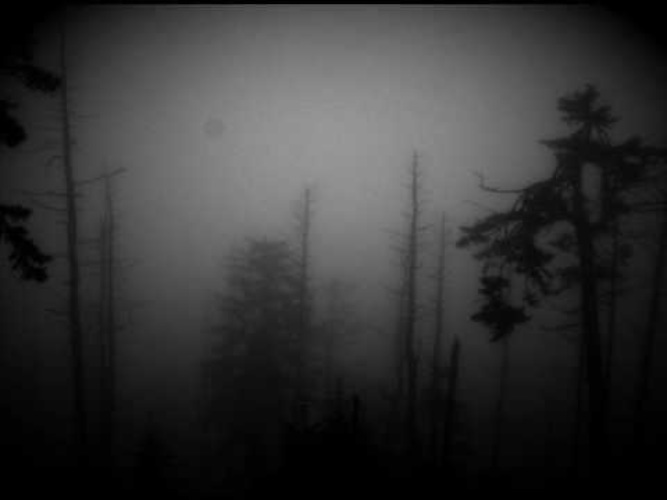 Lost in darkness. Oblivion - Nox Arcana.