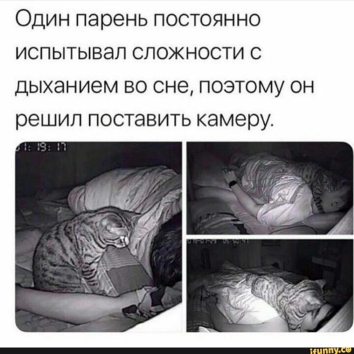 Те девчонки которым не хватает обоссывания с партнером устраивают его сами для себя Те девчонки которым не хватает обоссывания с партнером устраивают его сами для себя