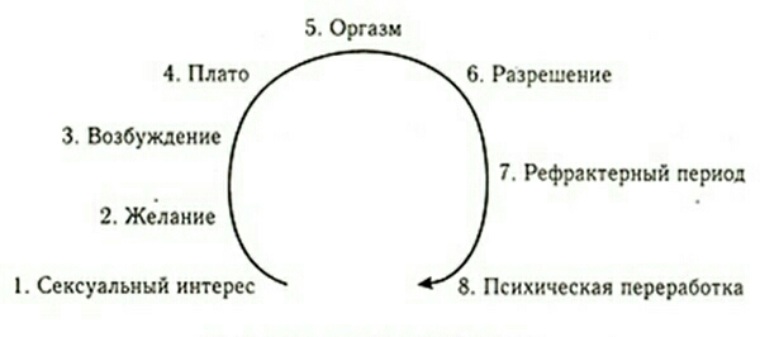 Половой акт схема