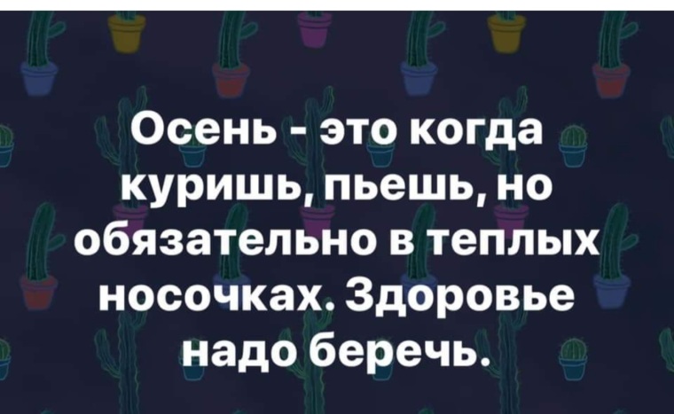 Когда включат отопление юмор