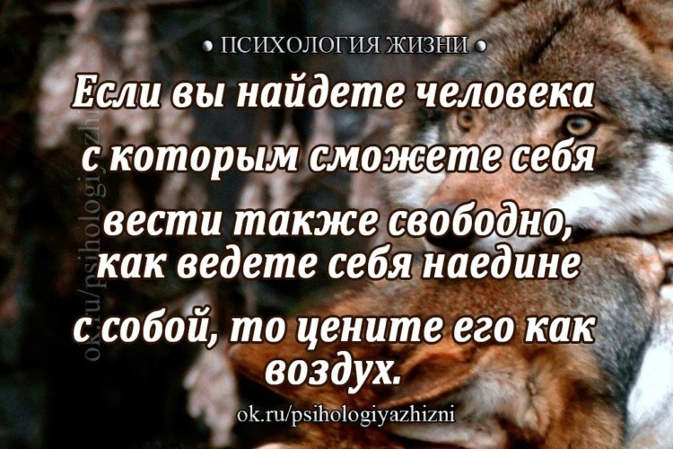 Все это вы найдете. Психология жизни. Психология в жизни человека.