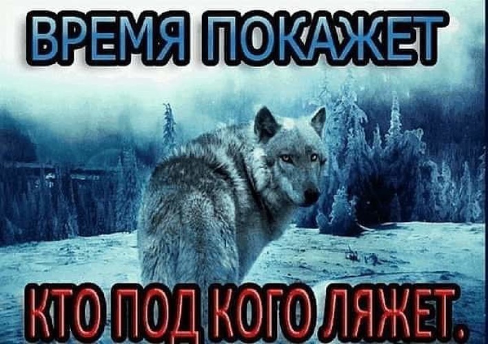 Дышали моей добротой теперь задохнитесь моим безразличием картинки