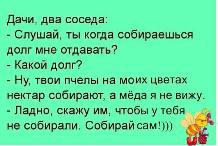 Отдавать какой вид