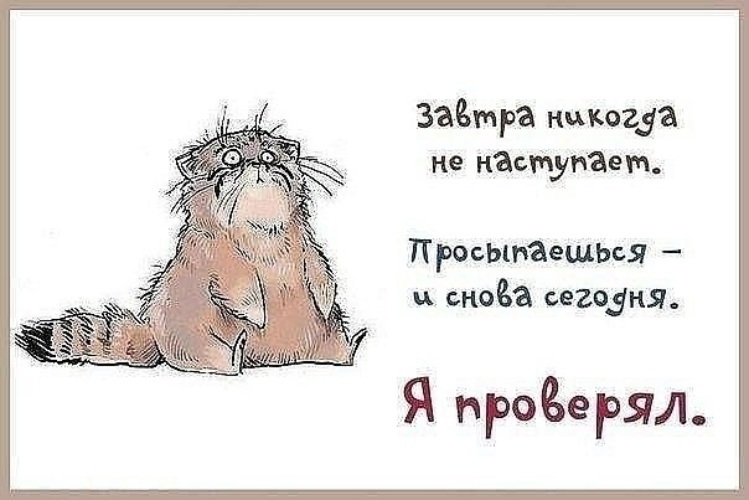 Планы на вечер картинки прикольные с надписями