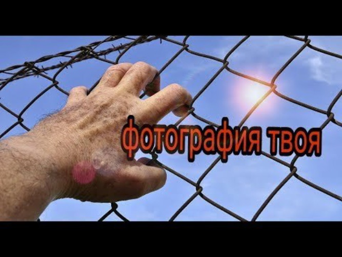 Лишь Фотография Твоя Затронет Сердце Теребя