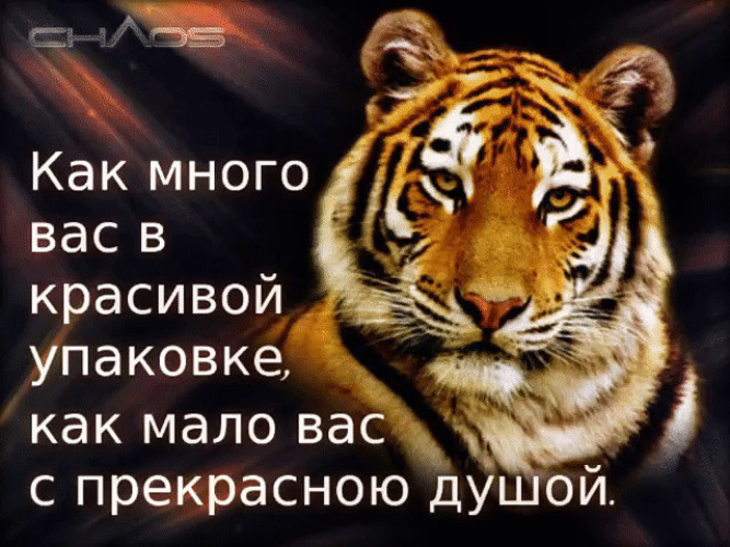 Для вас это мало. Статусы про гнилых людей. Красивая внешность гнилая душа. Красивая внешность есть у многих а красивая душа. Красивых много верных мало.