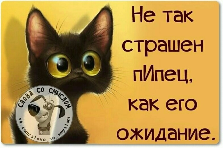 Как можно заменить слово пипец Лента по интересам - Юмор - 1901948 - Tabor.ru