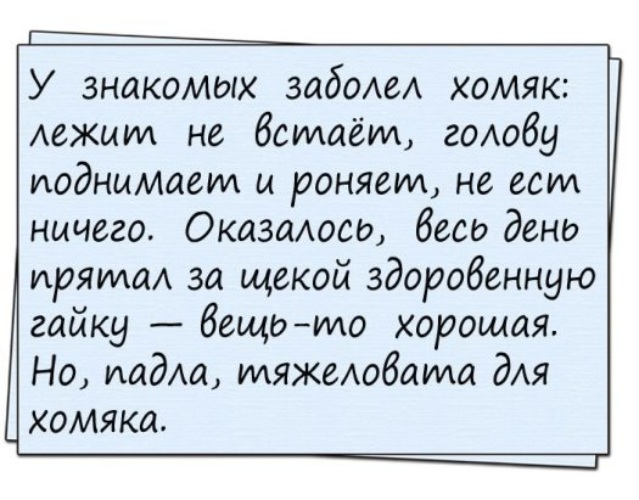 Смешные истории в картинках с надписями
