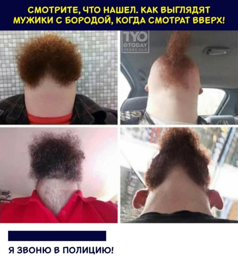 Как я буду выглядеть с бородой онлайн Лента по интересам - Юмор - 1912969 - Tabor.ru