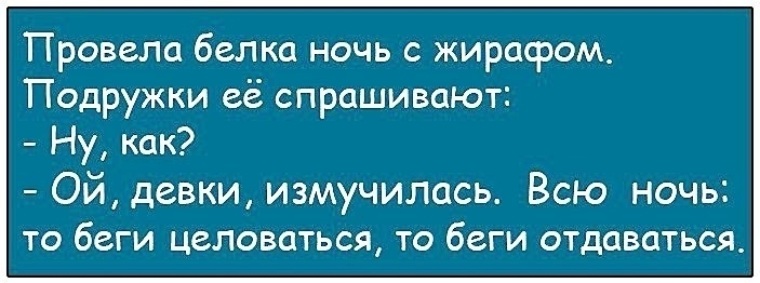 Латинская брюнетка стала сосать у своего мужа хотела получить много белка Латинская брюнетка стала сосать у своего мужа хотела получить много белка