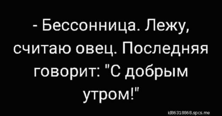 Бессонница текст. Анекдоты про бессонницу. Приколы бессонница и бараны. Бессонница лежу считаю овец последняя говорит с добрым утром. Бессонница приколы в картинках.